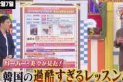 【動画あり】日本メディア「韓国は時給が低くて家族が芸能人に成ると家族にタカられる」→「日本の奴らは何故韓国に関心を持つのですか？」　韓国の反応