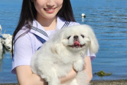 岡村梨央ちゃんと愛犬があまりにも似すぎだと話題wwwwwwwwww