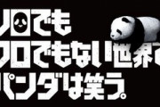 視聴前ワイ「『シロでもクロでもない世界でパンダは笑う』？タイトルからして糞つまらんやろな…」→→→