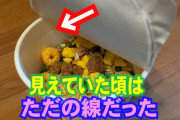カップ麺のお湯なんか感覚で入れてるから線見た事ない。あとお湯入れて30秒で食べ始める。