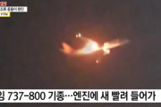 韓国人「韓国仁川空港着陸中の飛行がエンジンから火を噴いてしまう‥」「恐怖の20分」火花が散る事故が発生し、乗客が恐怖に震える　韓国の反応