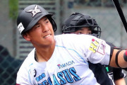 【朗報】日ハム多田野スカウト、188cm100kgのガチムチ捕手にベタ惚れ→育成2位て指名