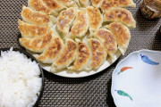 【朗報】大学生ワイ、自作餃子を極めてしまう