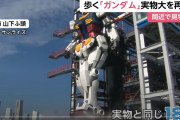 [韓国の反応]日本で公開された実際に動く実物大ガンダムに韓国人も感動[韓国ネット民]頭の中で想像していたものを実際に見るとドキドキするだろうね