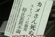 イギリス「クマムシを時速3240kmでコンクリに叩きつたら死んだわ」8/26