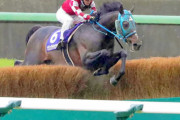 オジュウチョウサン顕彰馬に2票足りず落選　得票率74.1％