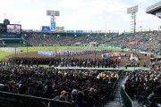 甲子園、違反バット問題が解決しないまま開催へ