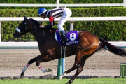 カレンブーケドールは松山弘平騎手との新コンビで日経賞へ
