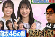 【日向坂46が架空アイドルに変装!!『楽屋挨拶なりすまし選手権』】清水＆宮地は双子!?正源司＆藤嶌＆山下は新ユニット結成!?