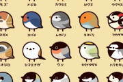 【図解】日本の小鳥一覧