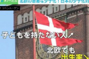 「フィンランド1.32、ノルウェー1.41…」北欧の出生率激減 「高福祉」で「ジェンダー平等」なのになぜ？