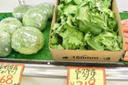 【長野】レタス高騰 １玉２２０円 外国人労働者がコロナのせいで来日できず  [8/1]