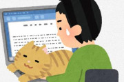 猫に噛まれたら「すぐ病院行け」という話