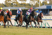 【競馬】武豊、9日間の騎乗停止処分　JRA発表