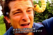 【動画】ベア・グリルスさん、尿でネズミを煮込んでしまうｗｗｗ