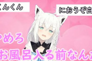 【嫌い】白上フブキってVTuberが好きになれない
