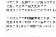 巨人ファン「コロ浪菌太郎とか煽ってる奴頭大丈夫？ただのクズだから野球ファン辞めてくれ」