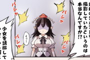 【東方】マスゴミの餌食になる気分を身をもって味わうがいい