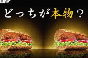 【悲報】あの「サブウェイ」が身売り検討‥‥実際何がいけなかったの？？？？？？？？？