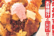 【驚安】ドン・キホーテの”おかず盛り放題丼”790円ｗｗｗｗｗｗ