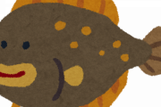 【画像】ヒラメの赤ちゃんの姿が衝撃的すぎる
