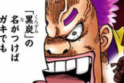 【悲報】ワンピースさん、一部読者の間で炎上する