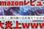【悲報】モンハンプレイヤーがAmazon史上稀に見る長文レビューを投稿