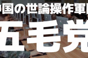 中国の世論誘導集団『五毛党』、組織的情報工作がバレてTwitter大量凍結
