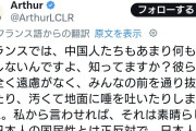 フランス人「日本人のみんなは中国が嫌い？そりゃそうだわフランスでも嫌われてるし中国人」