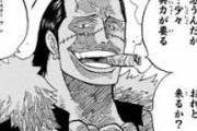 【ONE PIECE】で一番人気の敵はクロコダイルとして・・・・・・・・・・・・・・