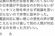 【悲報】陰キャ「バイト応募したら電話で落とされた！悔しいからレビュー荒らしてやる！」店員「…ｗｗｗｗｗｗ」