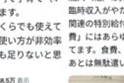 【画像】 東京のツイママ 「うちは年収300万で子育て4人余裕で出来てますｗｗ」と収支公開で大炎上