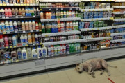 【画像】タイのコンビニって、品揃えとか結構変わってて面白いなｗｗｗｗｗｗｗｗｗｗｗｗｗｗｗｗｗｗｗｗｗｗｗｗｗｗｗｗｗｗｗｗｗｗ