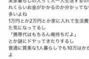 Twitter女子「こどおじって金銭感覚ないよねｗ人1人生活するのにどれくらいお金かかるか分かってないw」