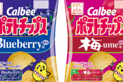 ポテトチップス「ブルーベリーガム味 / 梅ガム味」が2月15日から発売決定！美味いのか・・・？