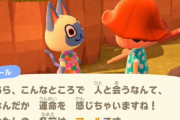 【あつまれどうぶつの森】お気に入りの住民来た人たちイイなー　羨ましい…