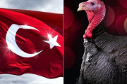 【悲報】　トルコさん、七面鳥呼びが嫌で国名を「テュルキエ」に変更へ
