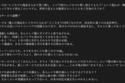 セルフレジって万引きと渋滞を生み出すだけじゃね？