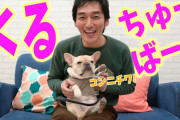 【悲報】YouTuber草なぎ剛さん、約2年の成果をたった1日で嵐に抜かれてしまう
