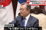 【ムン化大革命】文在寅「一度も経験したことのない国を作る」→デタラメ政策連発して公約達成ｗｗｗｗｗ