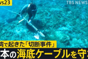楽韓さん、本日の動向 - 海底ケーブル保護は難しそうですね