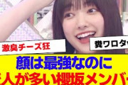 【櫻坂46】顔はかわいいのに変人が多い櫻坂メンバーのトリセツ【#そこ曲がったら櫻坂 #何歳の頃に戻りたいのか #三期生 #ミーグリ #オタの反応集 】