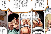 【ワンピース】堕ちた将校・ドレークさん、海軍のスパイだったのに黄猿にボコられるｗｗｗｗ