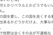 （ヽ´ん`）「ツイッターでネトウヨ論破したから見てくれ」