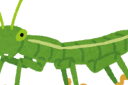 【衝撃】昆虫が人間大だったらめちゃくちゃ強いとかいう嘘ｗｗｗｗｗｗｗｗ