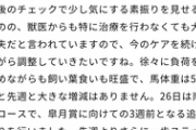 【競馬】レーン騎手サイド、予定通り来日できるよう手続き