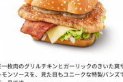 マクナドのソルト&レモンバーガー復活してるやん！