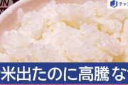米の高騰原因、判明　茶わん26億杯分もの米が◯◯になっていた・・・
