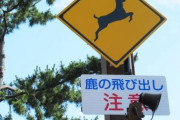 【画像】謎の警告文「ヘラジカに舐められないで！」→ その意外な理由が・・・