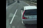 【恐怖】煽り運転させるの楽しいよな